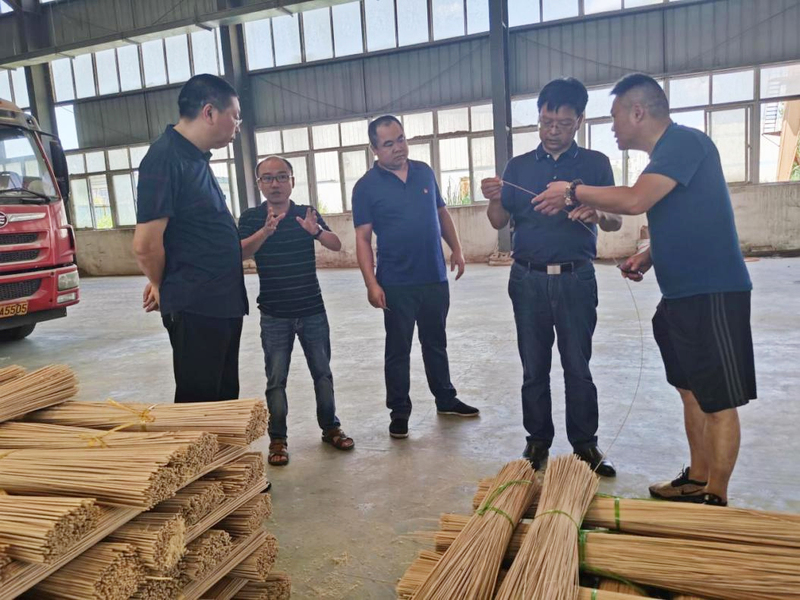 县政协主席杨凯波（右二）在沾溪镇竹产业循环经济园调研.jpg