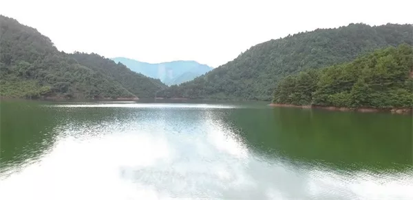 60686_zhangchunmei_1599140613891.jpg