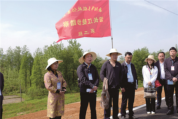 岳陽15.jpg