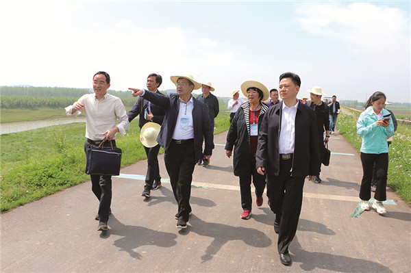 岳陽189.jpg