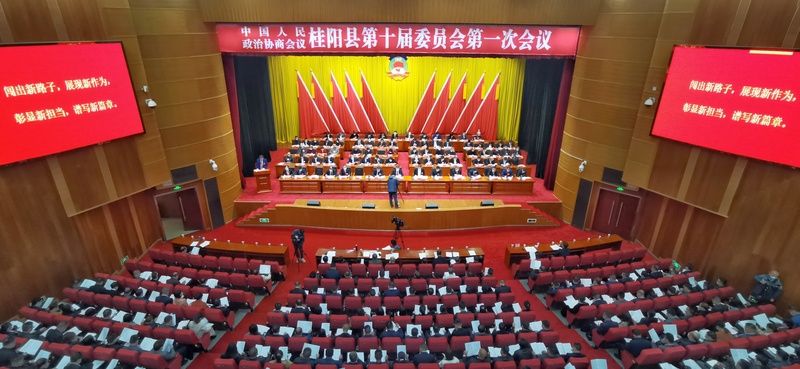 肖晖当选为政协桂阳县第十届委员会主席,罗晓文,李梅玉(女,杨涛,李鲁