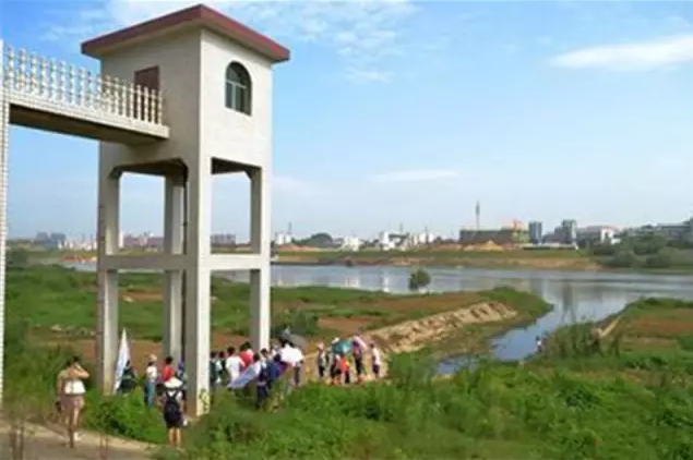 从三无组织到领头羊|一家民间环保组织的十