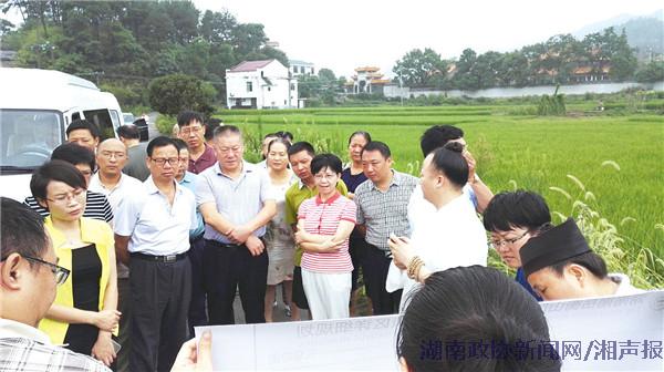 南嶽區委書記曾建華(左二),南嶽區委副書記,區長王燕(右一)與市領導