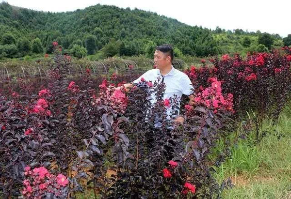 委员风采丨刘祖治:把万亩大山打造成"金山银山"